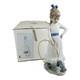 1989 NAO by Lladro Porcelain Figurine Nina con aro y perrito No. 379 dog
