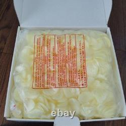 Lladro NAO Tinkerbell ceramic figure Used