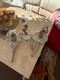 Lladro Nao Ballerina Figurines Set Of 3 White/Grey Glossy Mint Condition