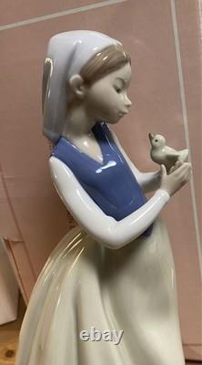 NAO Figure Feathered Friend