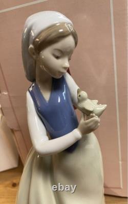 NAO Figure Feathered Friend