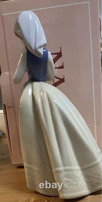 NAO Figure Feathered Friend