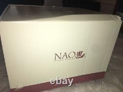 NAO Light of My Days (Boy). Porcelain Mother Figure. NEW IN BOX