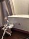 NAO by Lladro Ballerina Seated Porcelain Figurine 1992 Ballet Dancer Boxed