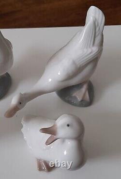 Nao By Lladro 4 x Duck Figures
