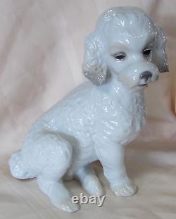 Nao By Lladro Sweet Poodle Brand New In Box #1655 Dog White Large Save$ Free Sh