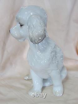 Nao By Lladro Sweet Poodle Brand New In Box #1655 Dog White Large Save$ Free Sh