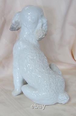 Nao By Lladro Sweet Poodle Brand New In Box #1655 Dog White Large Save$ Free Sh