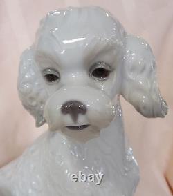 Nao By Lladro Sweet Poodle Brand New In Box #1655 Dog White Large Save$ Free Sh