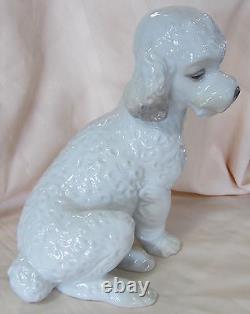 Nao By Lladro Sweet Poodle Brand New In Box #1655 Dog White Large Save$ Free Sh