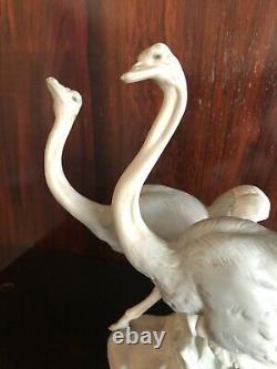 Nao Lladro Pair of Ostriches Ostrich Bird Figures Matt Matte Finish Figurine