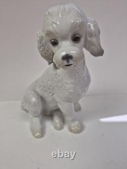 Nao Lladro Sweet Poodle Porcelain Large Firgure