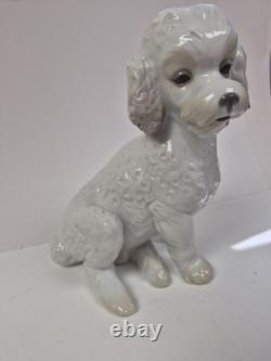 Nao Lladro Sweet Poodle Porcelain Large Firgure