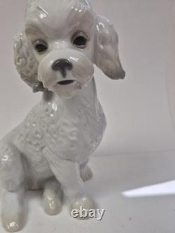 Nao Lladro Sweet Poodle Porcelain Large Firgure