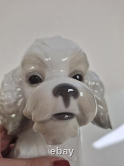 Nao Lladro Sweet Poodle Porcelain Large Firgure