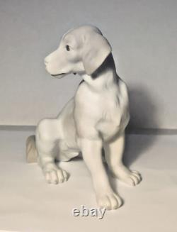 RARE Vintage NAO by Lladro Matte Dog Sitting Figure