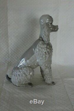 Rare Large 23cm Early Lladro 325 Gloss Poodle Dog Figure