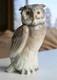 SERIOUS COLLECTORS- Mid 1980's NAO Lladro Short Eared Owl-Porcelain Figure Gray