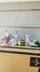 Set of 3 Lladro Nao Jester Figurines 01065, 01066, 01067 Jingles Jangles Joy