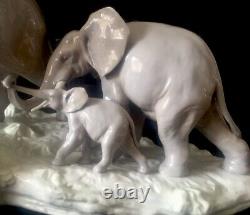 Stunning Very Large Lladro Porcelain Figure Elephants Walking L12m