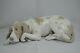 Superb Lladro Dog Old Dog Ref 1067