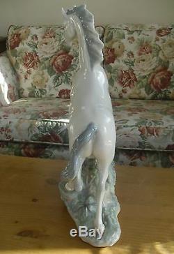 Very Large Lladro Horse(4781) Figure 17 1/4(44cm)