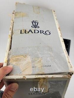 Vintage Collectible Lladro Nao Hooded Boy With Dog Retired 1982. 10.5 Inch W Box